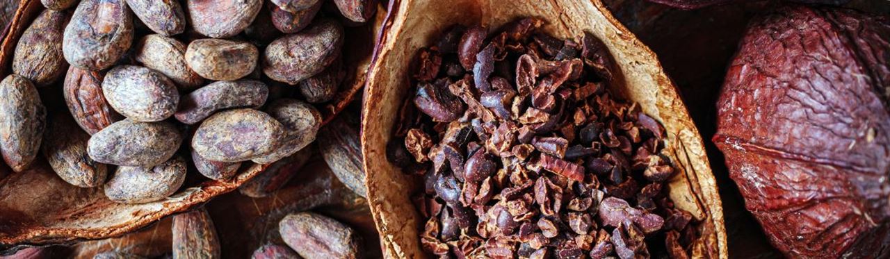 Fèves de cacao et éclats de cacao utilisés pour la fabrication du chocolat