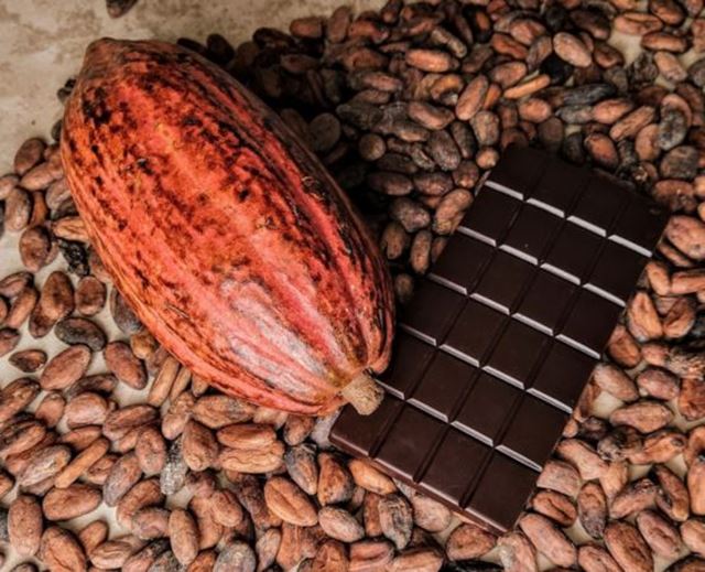 Cocoa pod and chocolate bar placed on cocoa beans.