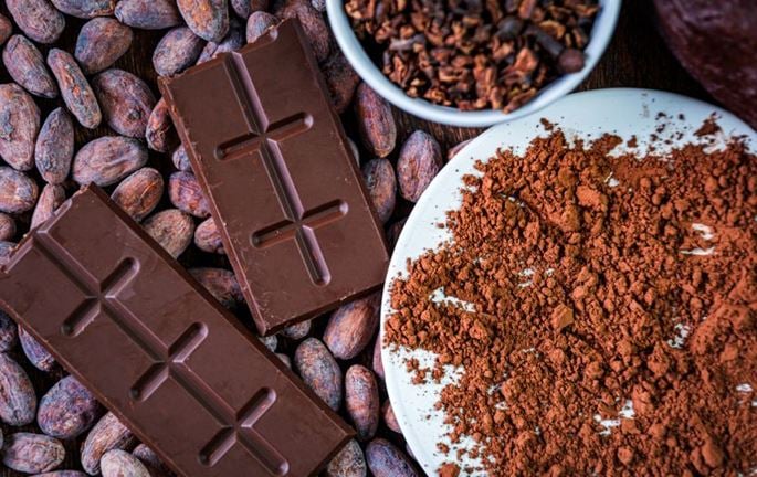 Dark chocolate squares arranged on cocoa beans, alongside a bowl of cocoa nibs and a plate of cocoa powder.